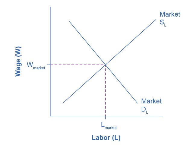 The market for labour with the wage on the vertical axis and the number of workers on the horizontal. Demand for labour slopes down and supply slopes up, and the wage settles where they cross.