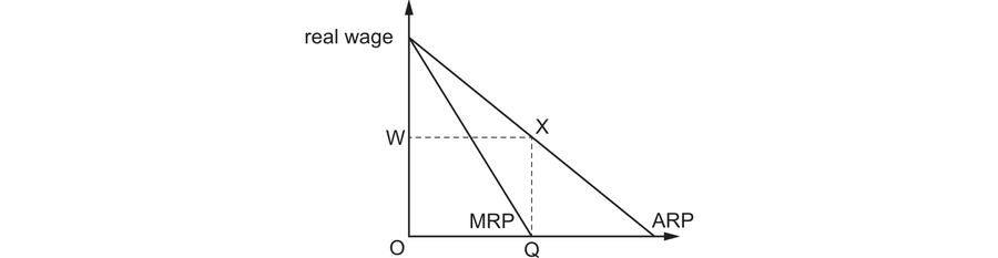 The marginal revenue product and average revenue product of labour drawn from the same point on the vertical axis, both falling as more workers are employed, with marginal revenue product the steeper of the two. A horizontal line at the real wage W meets the average revenue product curve at a point X. A dashed line drops from X to the horizontal axis at quantity Q, which is also the point where the marginal revenue product curve reaches zero.