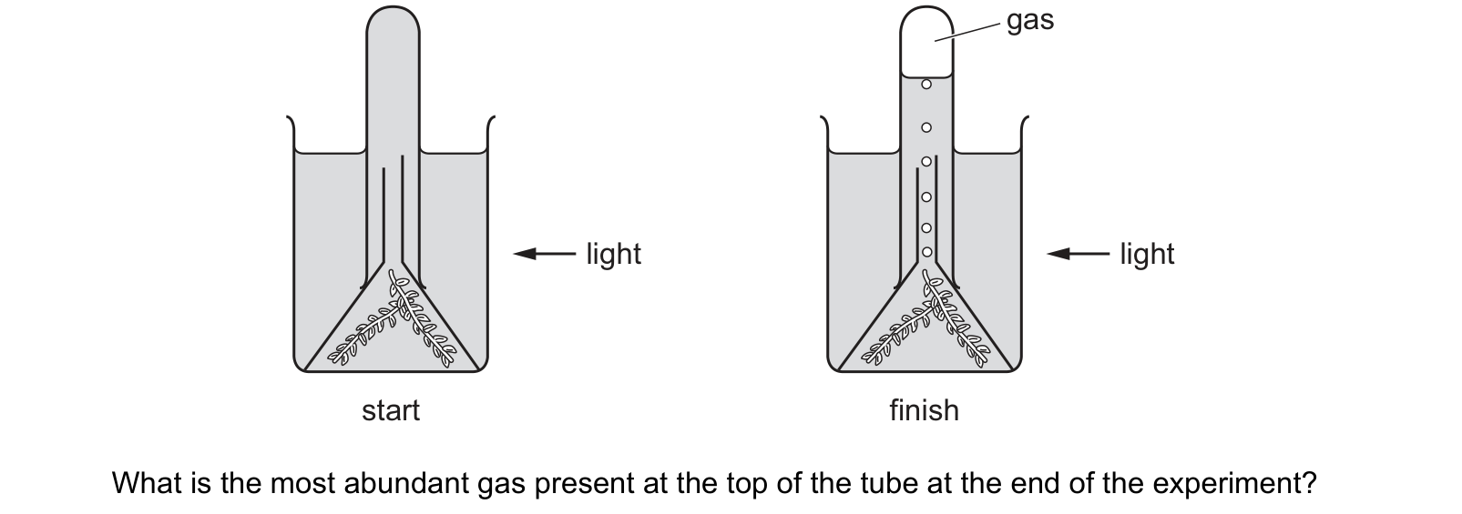 Diagram from the Cambridge Biology 0610 Paper 1 February/March 2019 paper, variant 2, question 11.