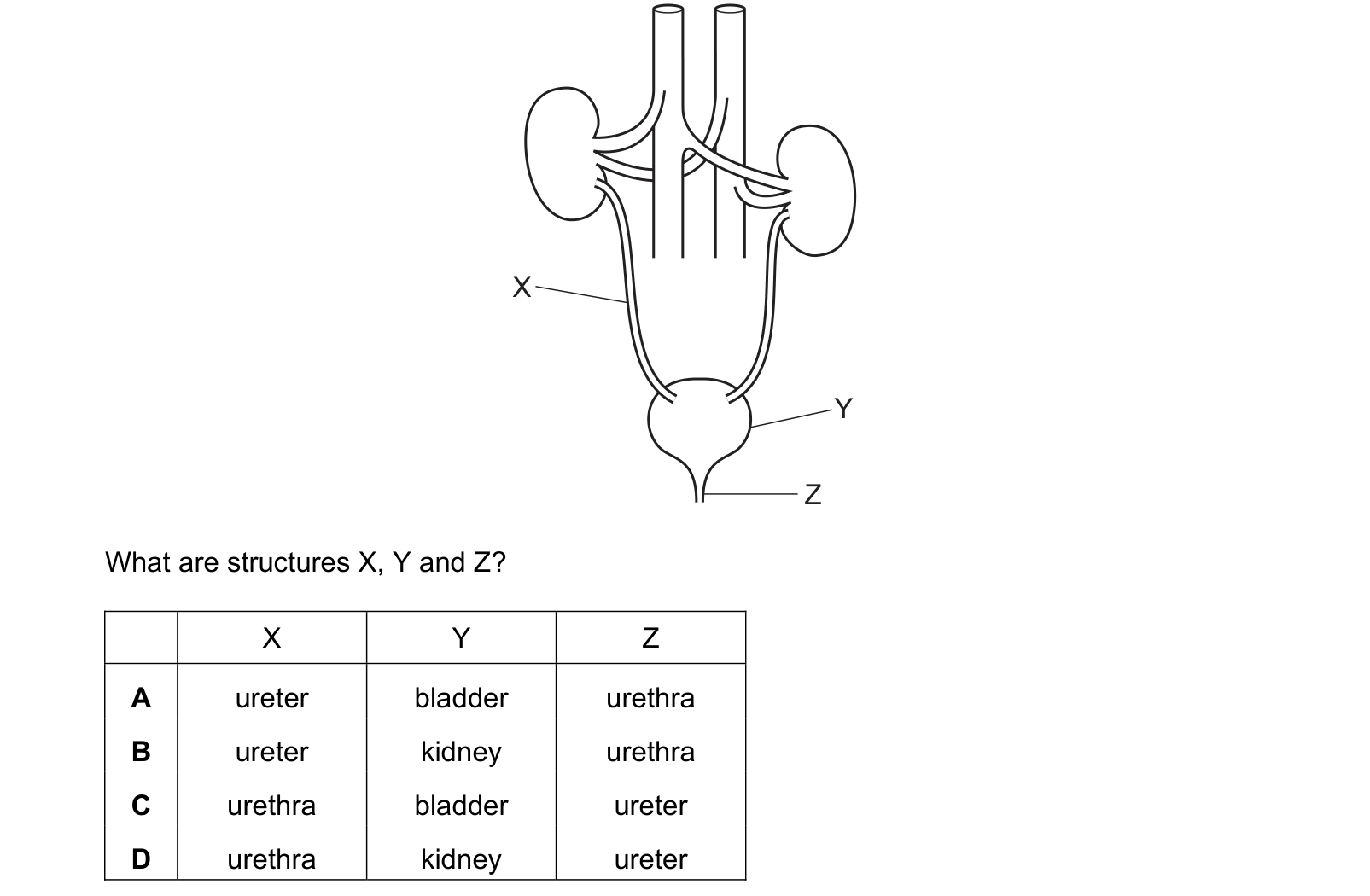 Diagram from the Cambridge Biology 0610 Paper 1 February/March 2021 paper, variant 2, question 24.