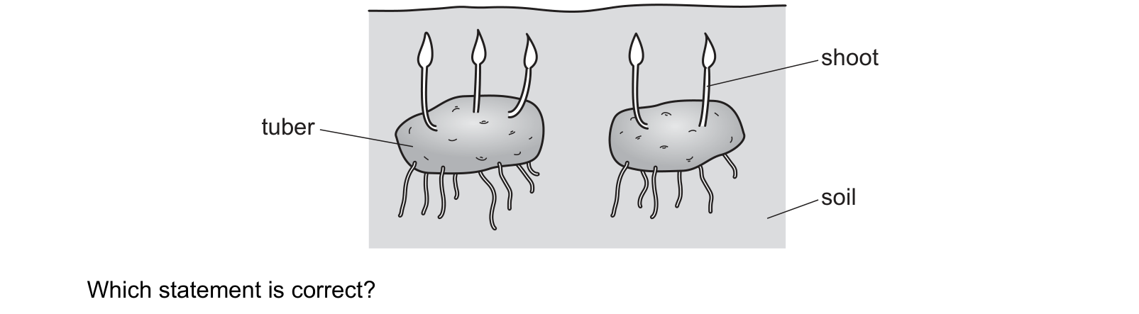Diagram from the Cambridge Biology 0610 Paper 2 February/March 2022 paper, variant 2, question 16.