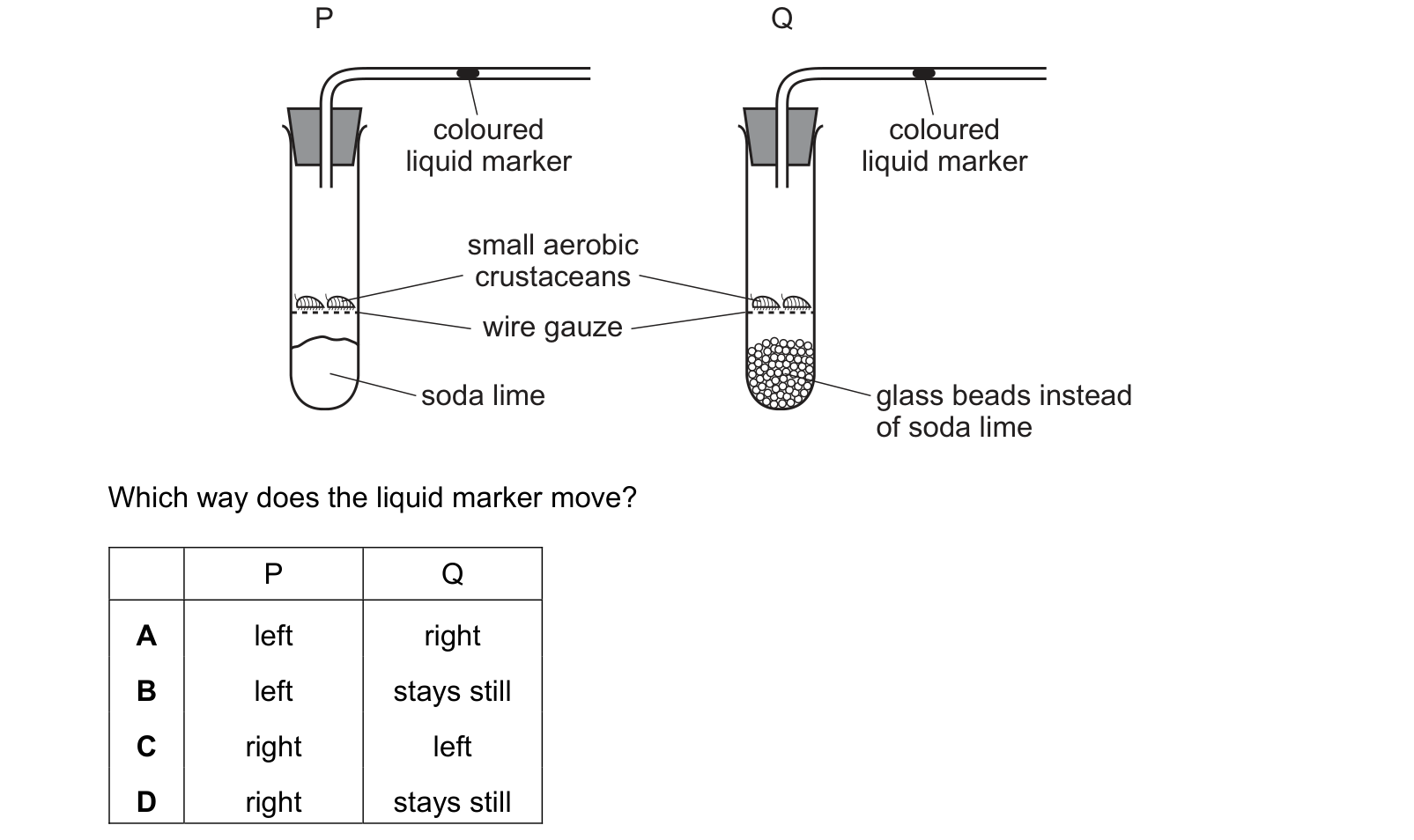 Diagram from the Cambridge Biology 0610 Paper 1 May/June 2019 paper, variant 1, question 23.