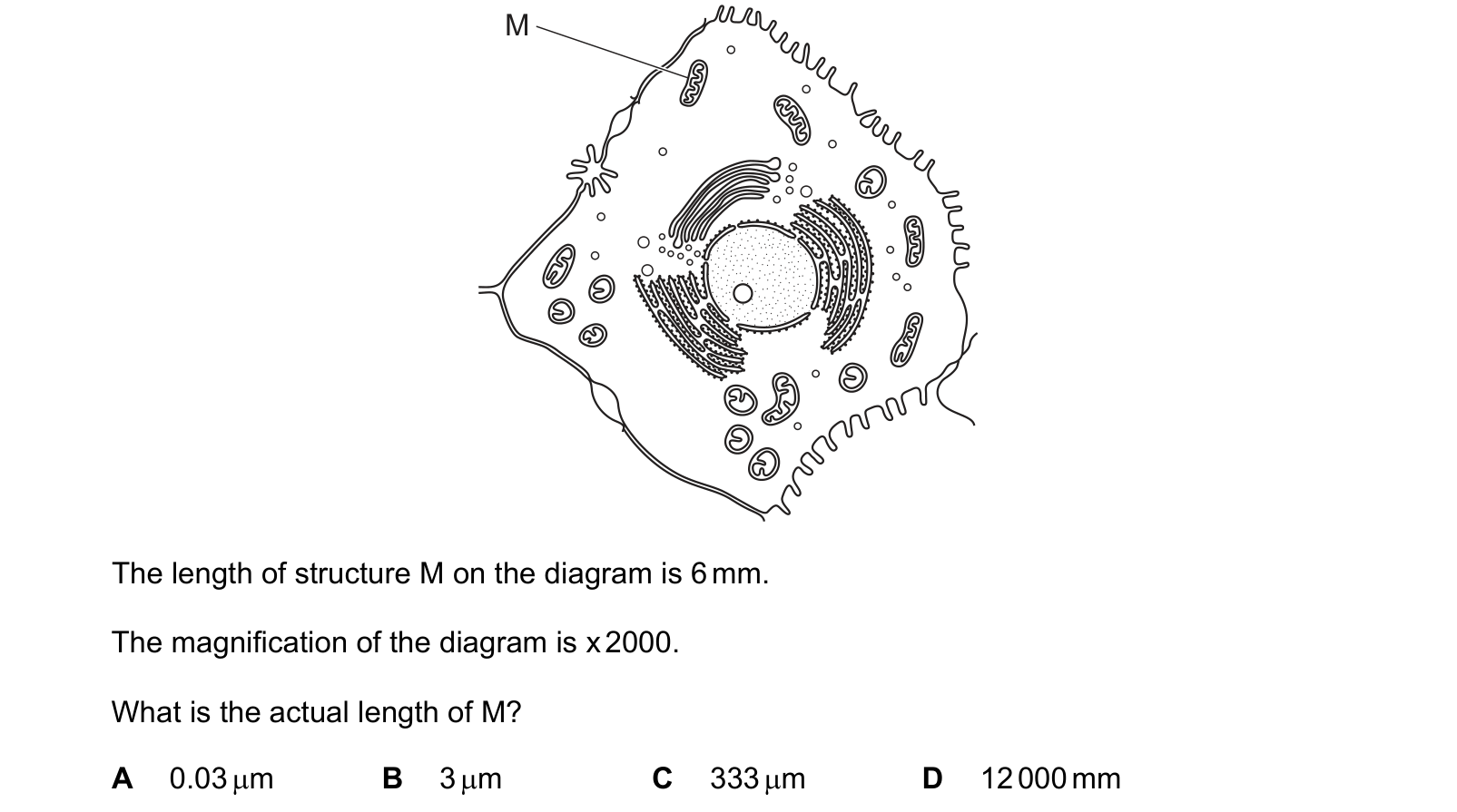 Diagram from the Cambridge Biology 0610 Paper 2 May/June 2020 paper, variant 2, question 4.