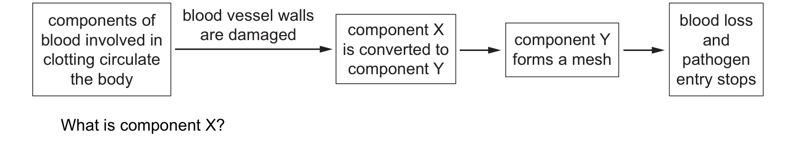 Diagram from the Cambridge Biology 0610 Paper 2 May/June 2022 paper, variant 2, question 18.