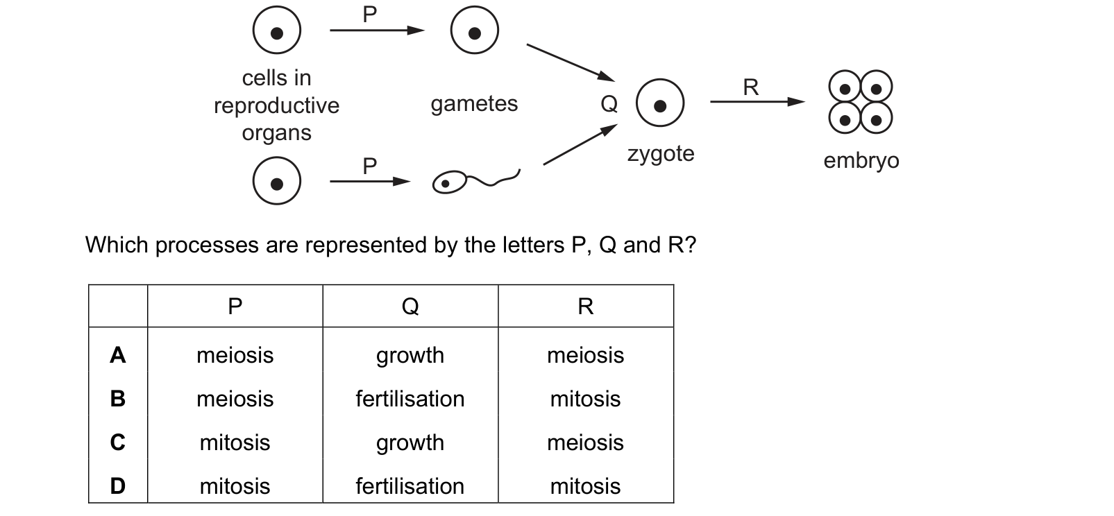 Diagram from the Cambridge Biology 0610 Paper 1 October/November 2022 paper, variant 3, question 33.