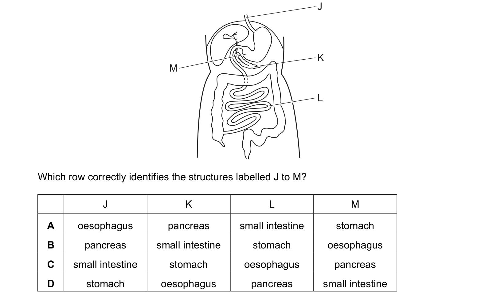 Diagram from the Cambridge Biology 0610 Paper 2 October/November 2024 paper, variant 1, question 12.