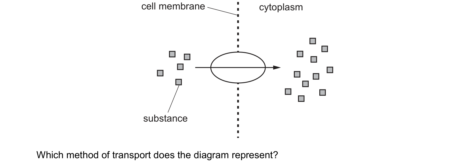 Diagram from the Cambridge Biology 0610 Paper 2 October/November 2024 paper, variant 3, question 5.