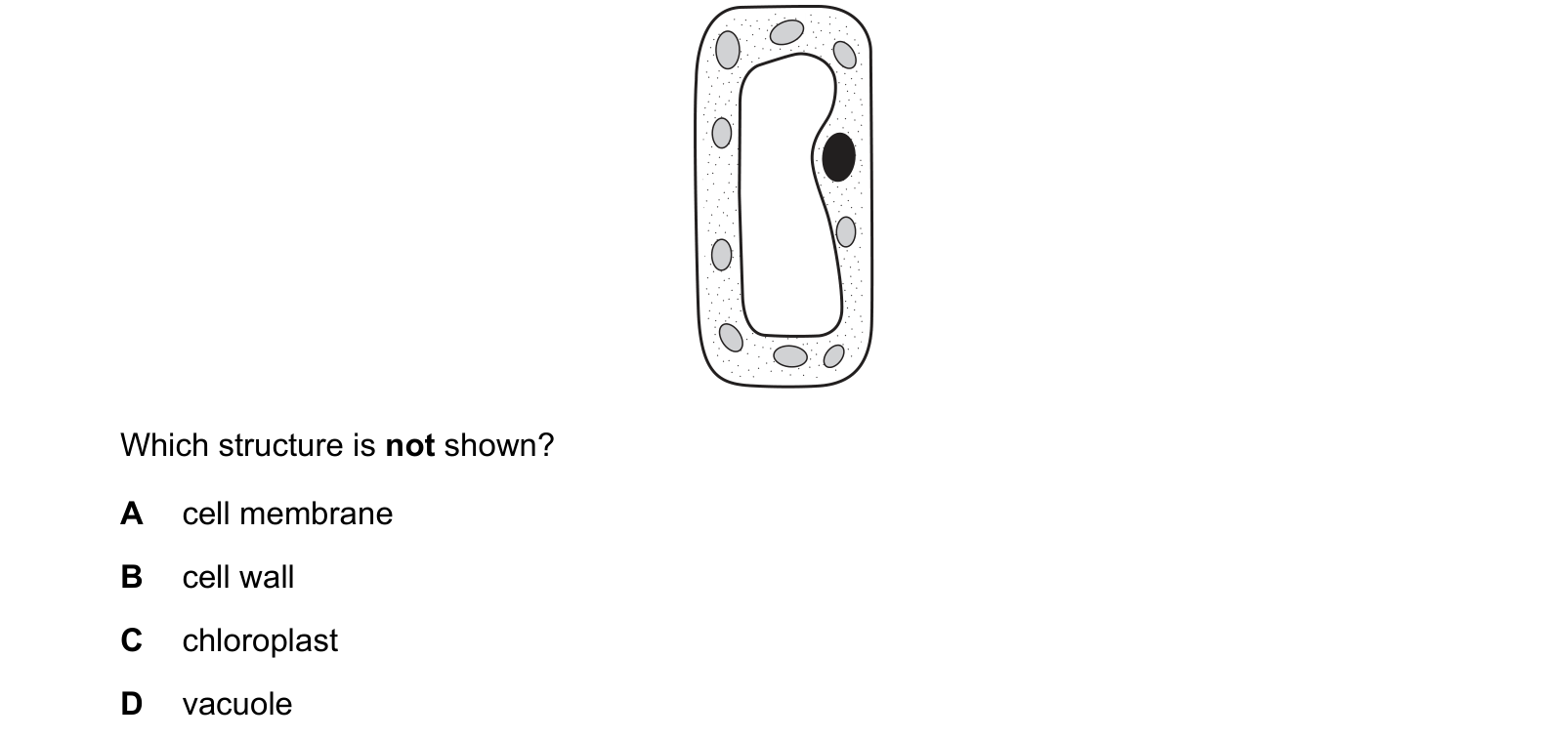 Diagram from the Cambridge Co-ordinated Sciences 0654 Paper 1 February/March 2021 paper, variant 2, question 2.