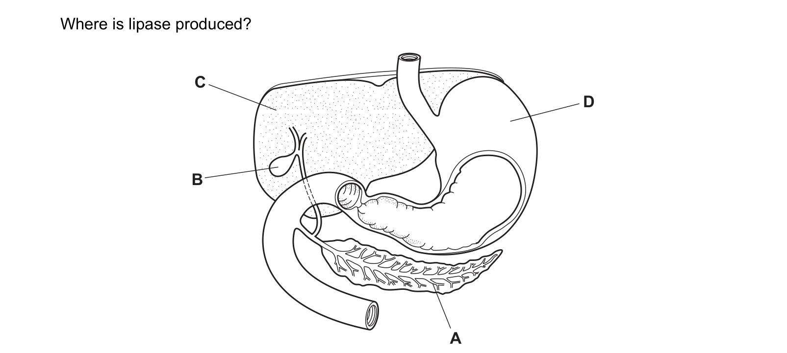 Diagram from the Cambridge Co-ordinated Sciences 0654 Paper 2 February/March 2021 paper, variant 2, question 6.