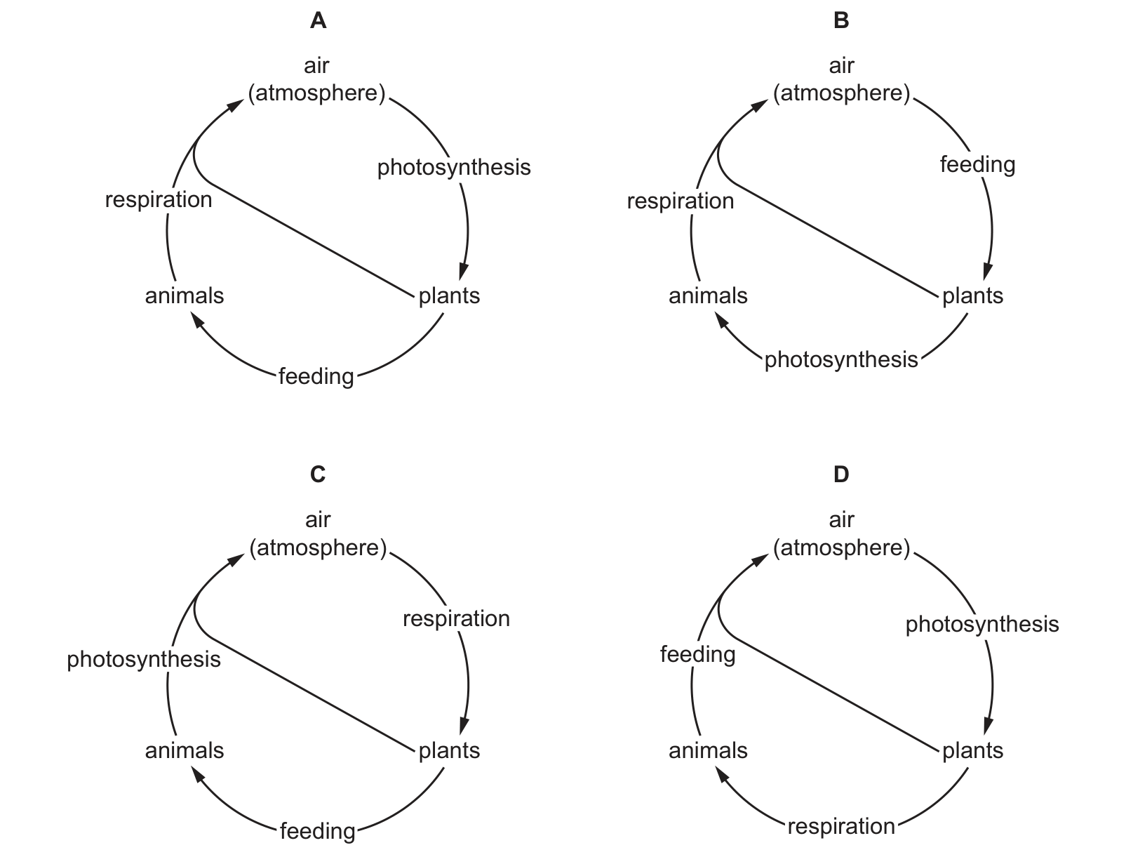 Diagram from the Cambridge Co-ordinated Sciences 0654 Paper 1 February/March 2023 paper, variant 2, question 13.