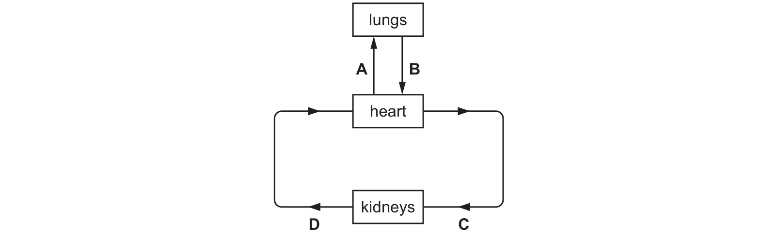 Diagram from the Cambridge Co-ordinated Sciences 0654 Paper 1 February/March 2023 paper, variant 2, question 7.