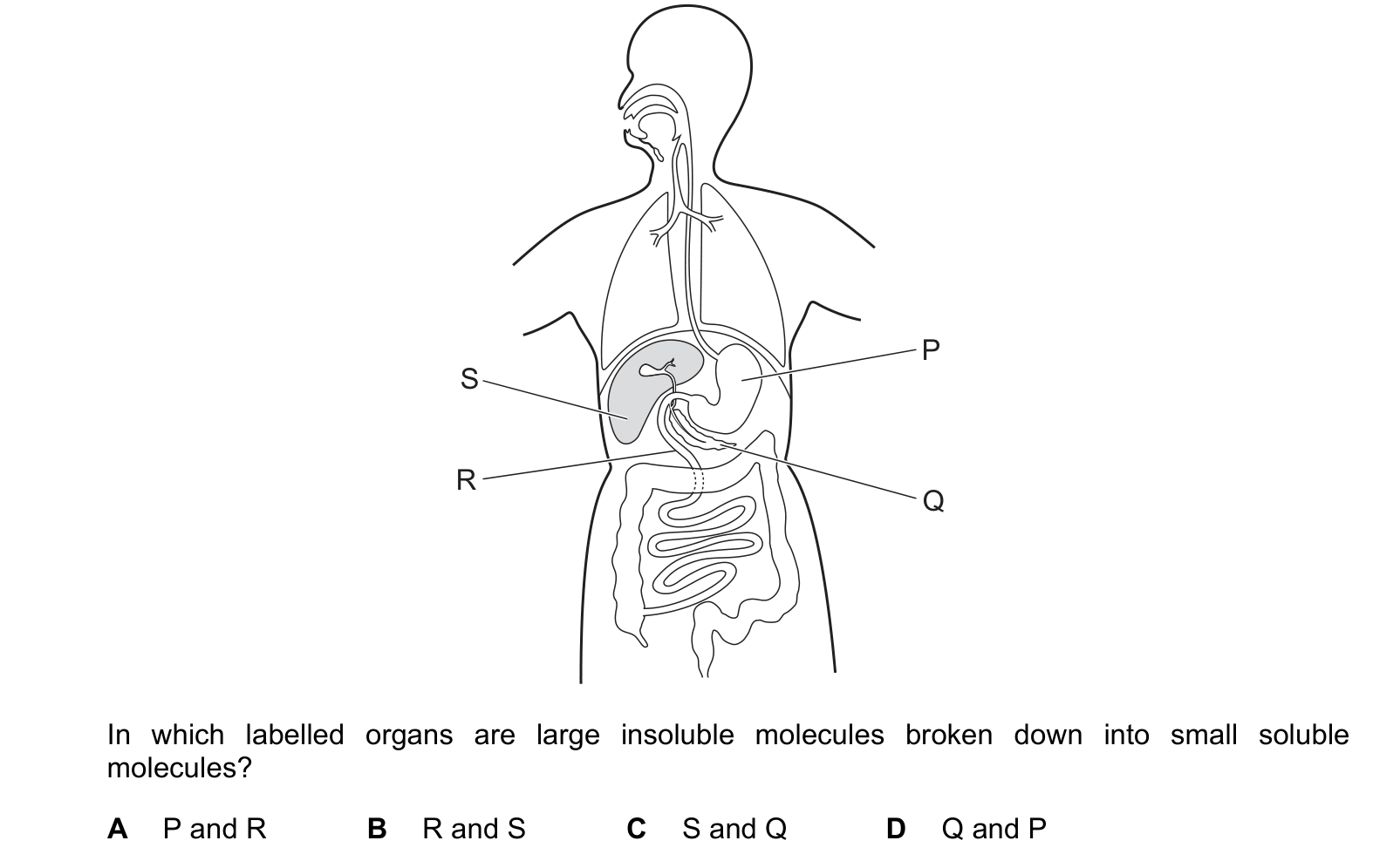 Diagram from the Cambridge Co-ordinated Sciences 0654 Paper 2 February/March 2023 paper, variant 2, question 6.