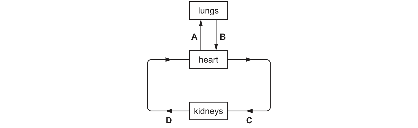Diagram from the Cambridge Co-ordinated Sciences 0654 Paper 2 February/March 2023 paper, variant 2, question 7.