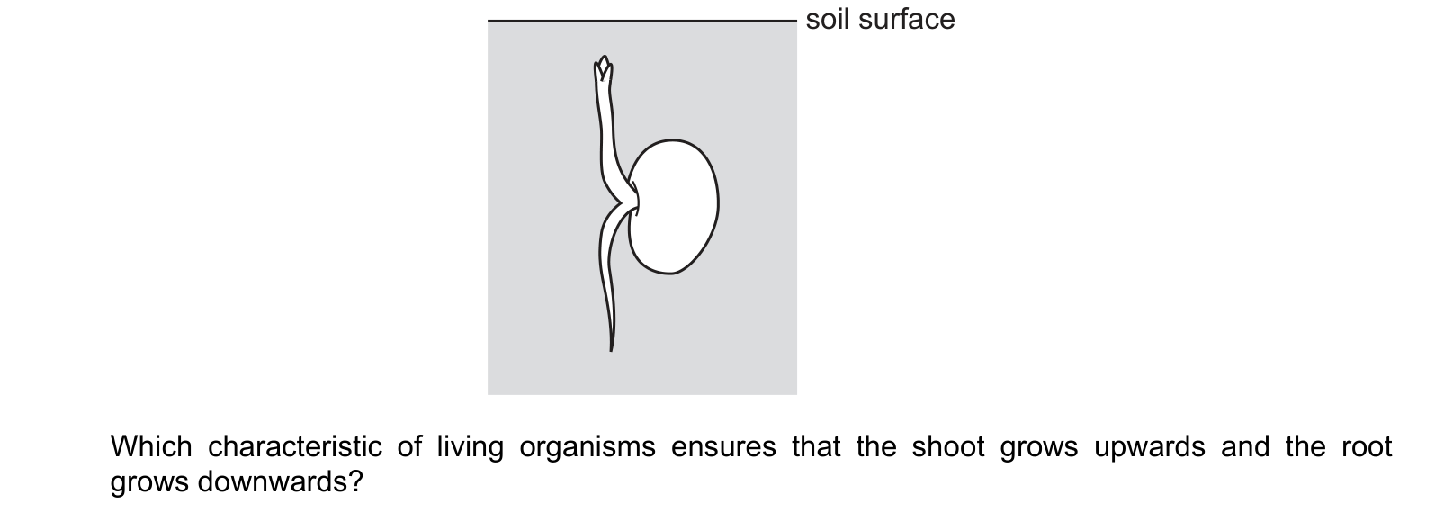 Diagram from the Cambridge Co-ordinated Sciences 0654 Paper 1 February/March 2024 paper, variant 2, question 1.