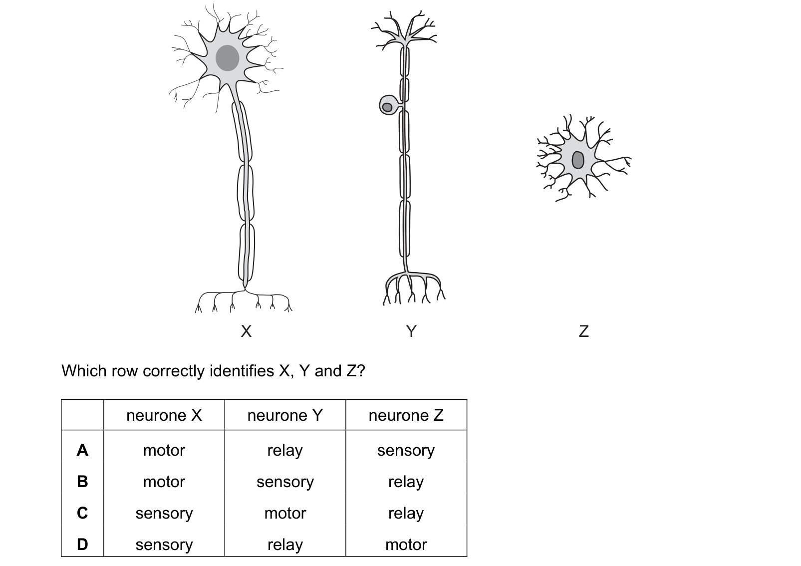 Diagram from the Cambridge Co-ordinated Sciences 0654 Paper 1 February/March 2024 paper, variant 2, question 9.