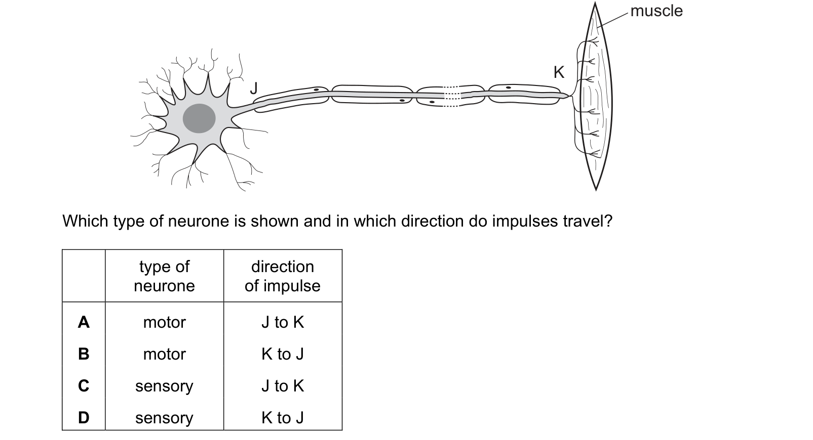 Diagram from the Cambridge Co-ordinated Sciences 0654 Paper 2 February/March 2024 paper, variant 2, question 9.
