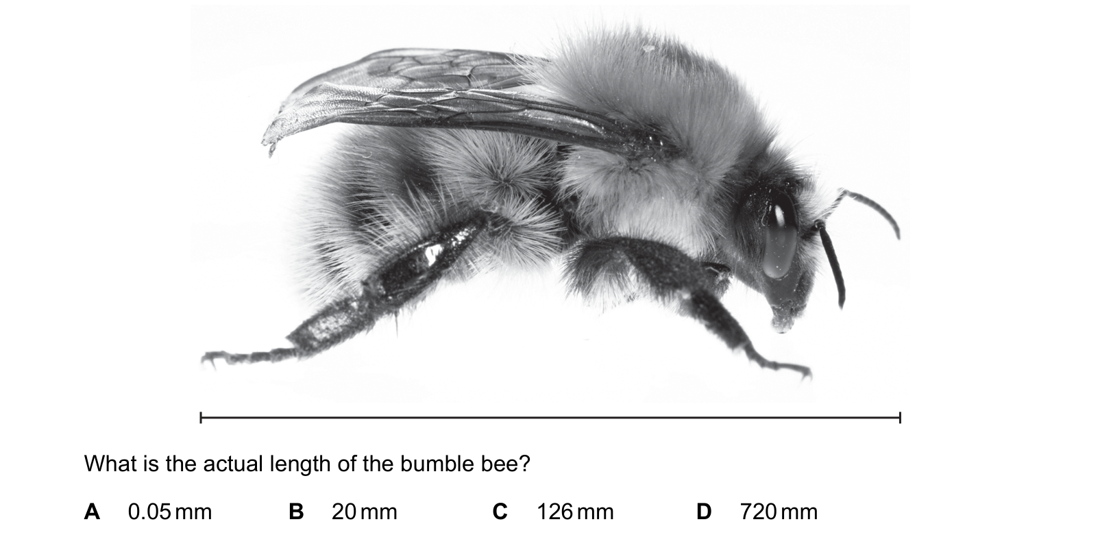 Diagram from the Cambridge Co-ordinated Sciences 0654 Paper 1 May/June 2021 paper, variant 1, question 2.