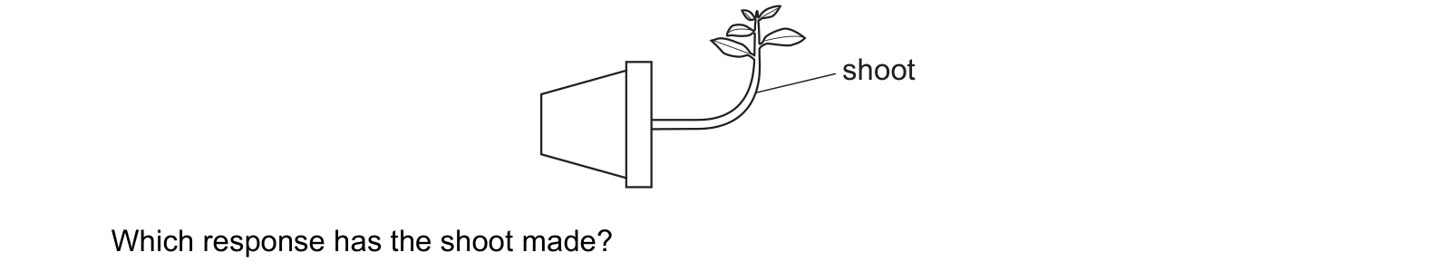 Diagram from the Cambridge Co-ordinated Sciences 0654 Paper 2 May/June 2021 paper, variant 3, question 9.