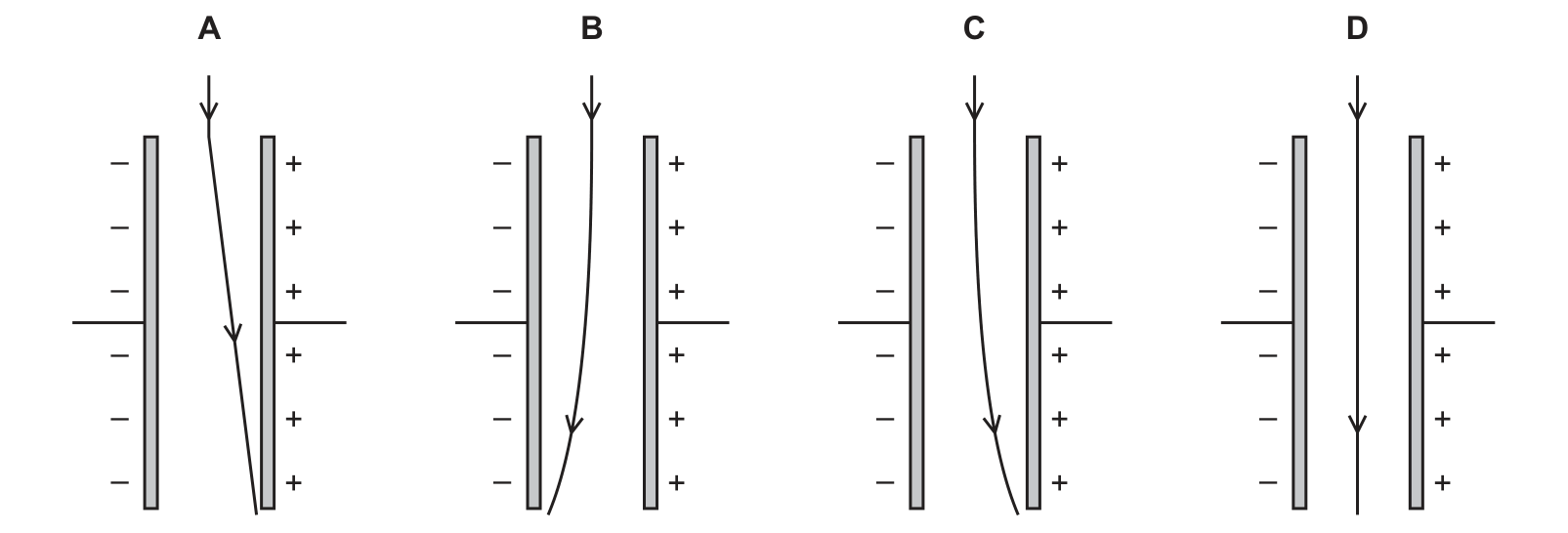 Diagram from the Cambridge Co-ordinated Sciences 0654 Paper 2 May/June 2022 paper, variant 2, question 40.