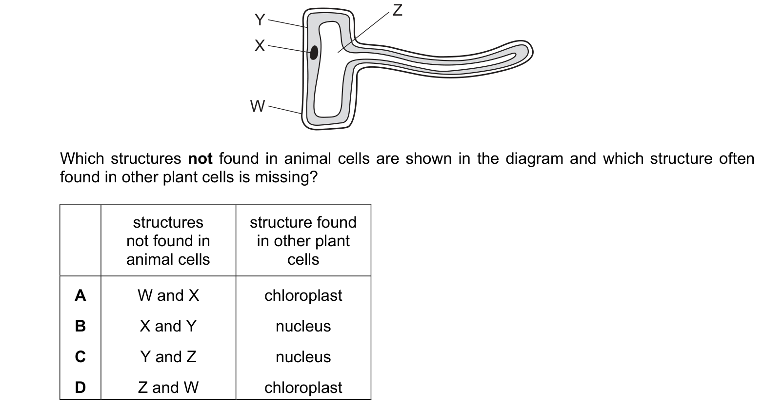 Diagram from the Cambridge Co-ordinated Sciences 0654 Paper 2 May/June 2023 paper, variant 2, question 2.