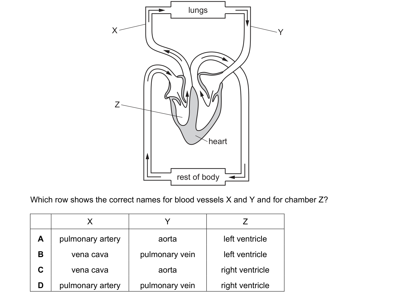Diagram from the Cambridge Co-ordinated Sciences 0654 Paper 2 May/June 2023 paper, variant 2, question 7.