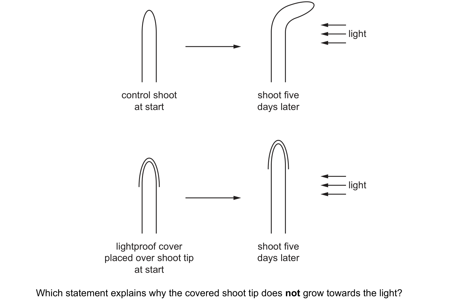 Diagram from the Cambridge Co-ordinated Sciences 0654 Paper 2 May/June 2023 paper, variant 2, question 9.