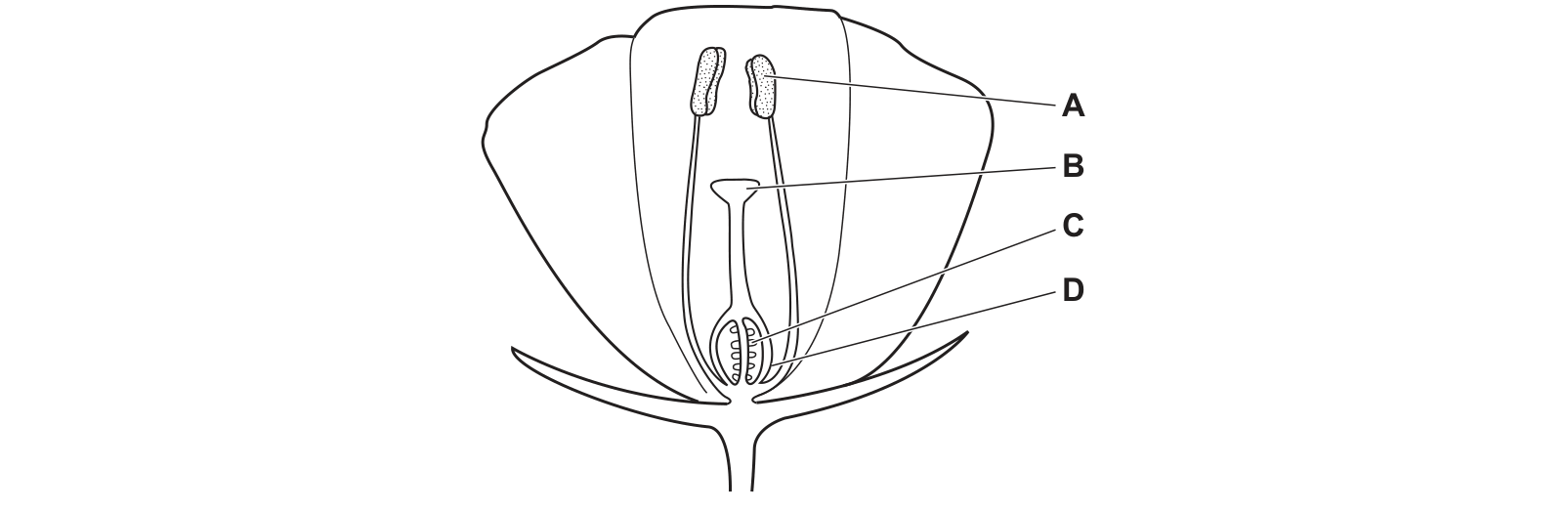 Diagram from the Cambridge Co-ordinated Sciences 0654 Paper 2 May/June 2023 paper, variant 3, question 10.