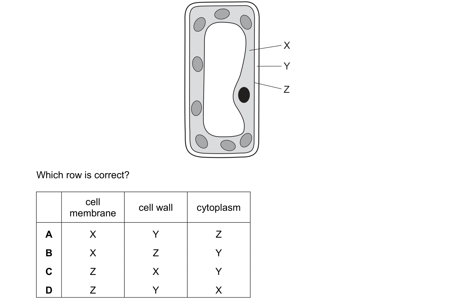 Diagram from the Cambridge Co-ordinated Sciences 0654 Paper 1 May/June 2024 paper, variant 1, question 2.