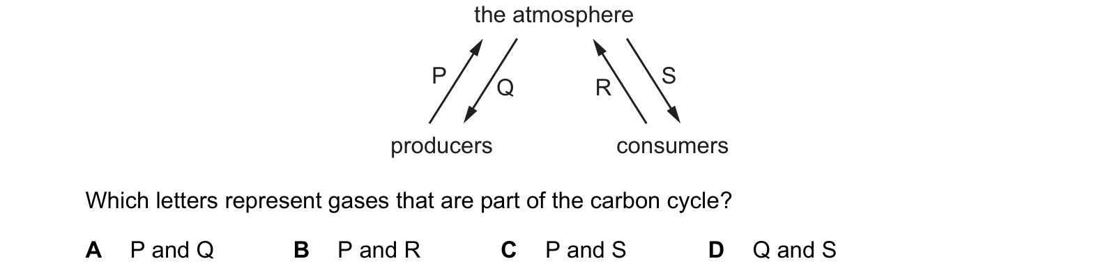 Diagram from the Cambridge Co-ordinated Sciences 0654 Paper 1 May/June 2024 paper, variant 2, question 13.