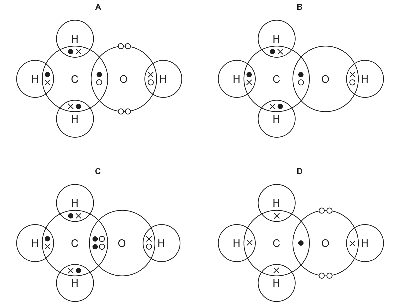 Diagram from the Cambridge Co-ordinated Sciences 0654 Paper 2 May/June 2024 paper, variant 1, question 16.