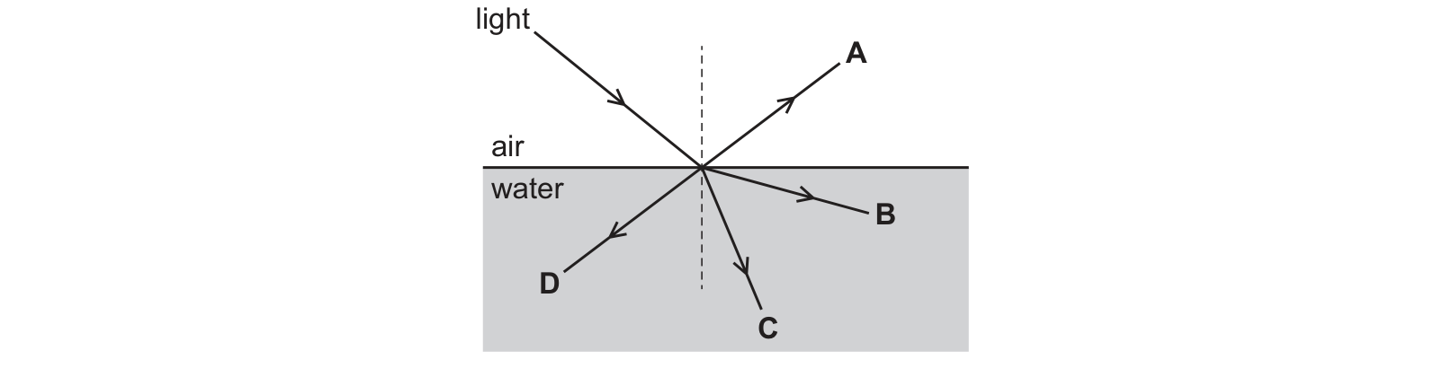 Diagram from the Cambridge Co-ordinated Sciences 0654 Paper 1 October/November 2020 paper, variant 3, question 34.