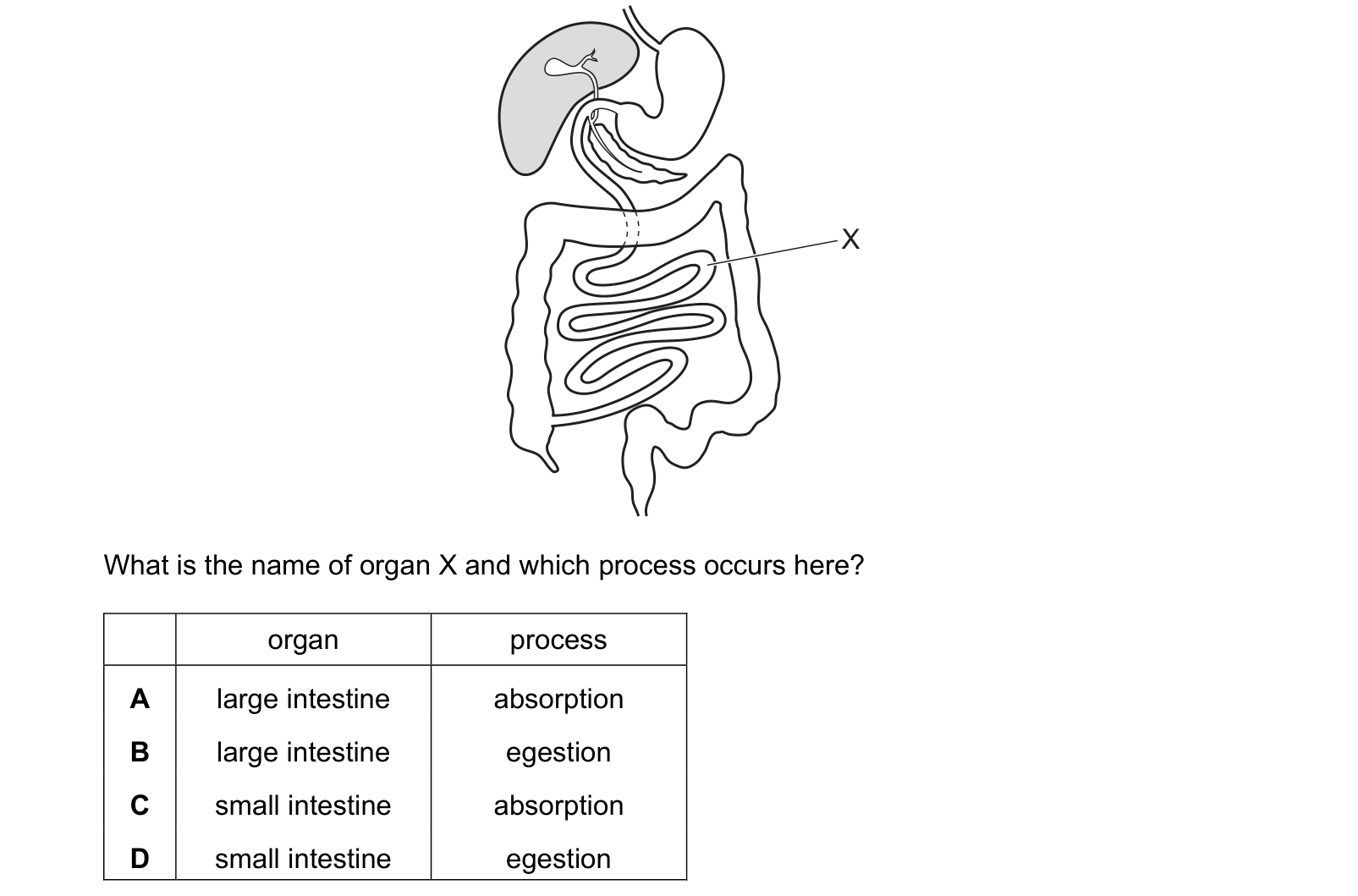 Diagram from the Cambridge Co-ordinated Sciences 0654 Paper 1 October/November 2020 paper, variant 3, question 6.