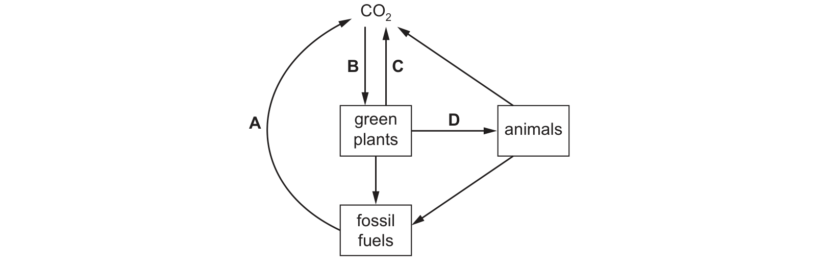 Diagram from the Cambridge Co-ordinated Sciences 0654 Paper 1 October/November 2021 paper, variant 1, question 13.