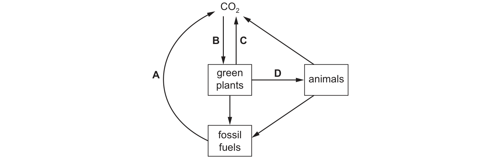 Diagram from the Cambridge Co-ordinated Sciences 0654 Paper 1 October/November 2021 paper, variant 2, question 13.