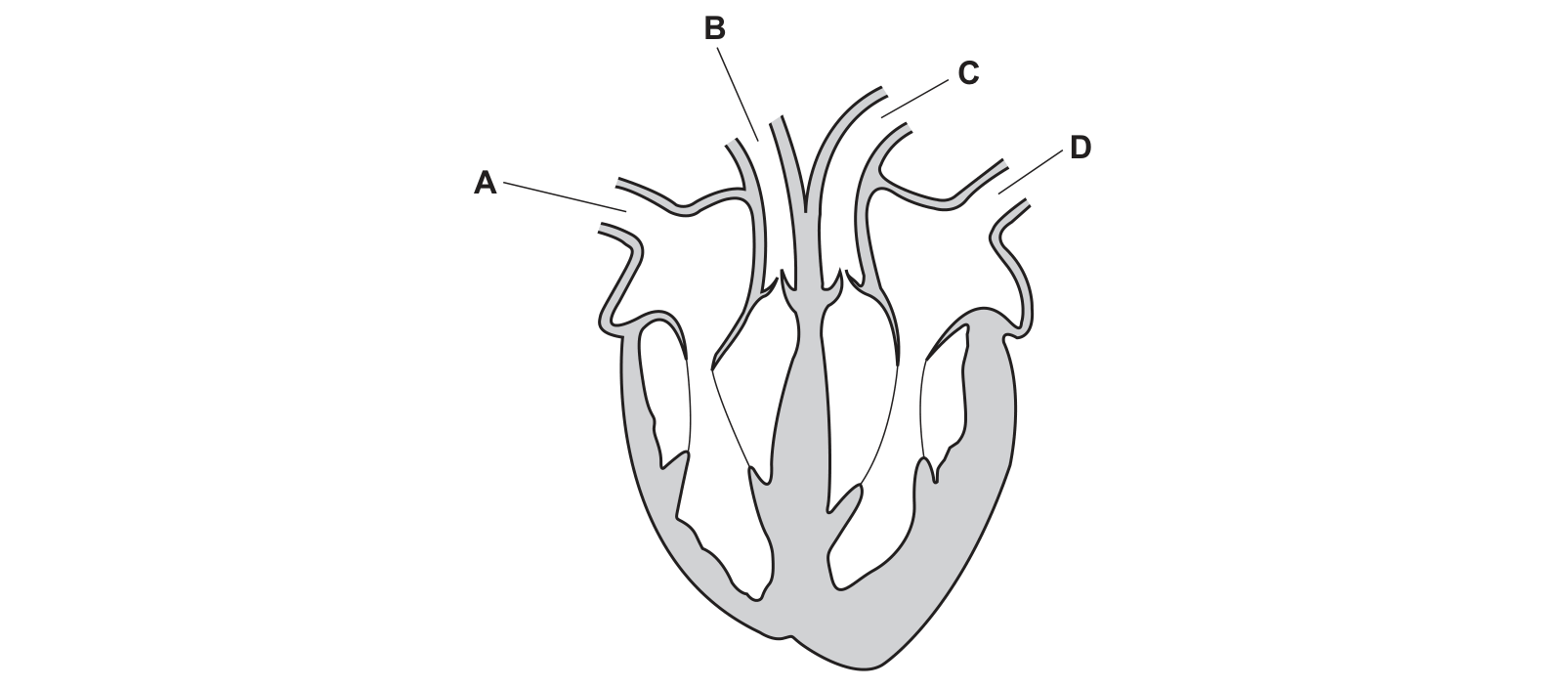 Diagram from the Cambridge Co-ordinated Sciences 0654 Paper 1 October/November 2021 paper, variant 2, question 7.