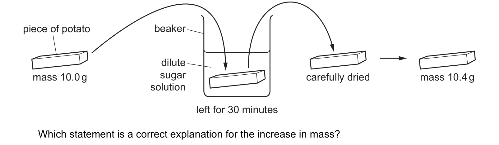 Diagram from the Cambridge Co-ordinated Sciences 0654 Paper 1 October/November 2021 paper, variant 3, question 2.