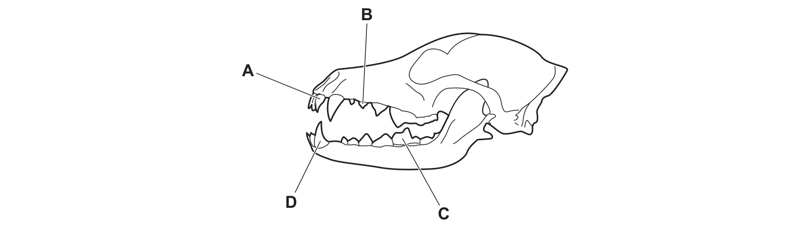Diagram from the Cambridge Co-ordinated Sciences 0654 Paper 1 October/November 2022 paper, variant 1, question 6.