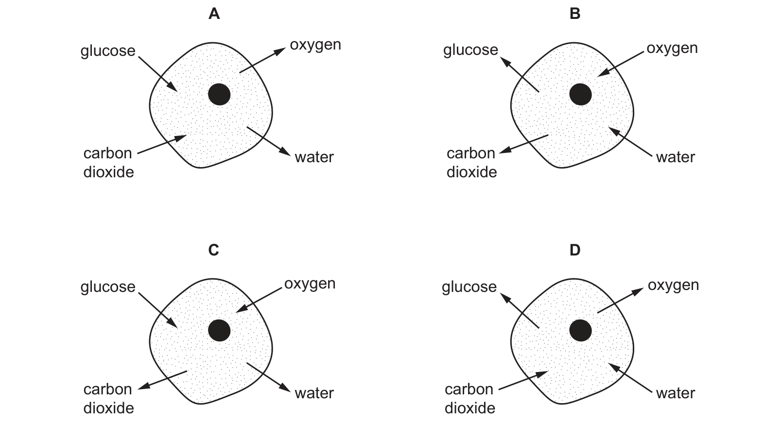 Diagram from the Cambridge Co-ordinated Sciences 0654 Paper 1 October/November 2022 paper, variant 2, question 8.