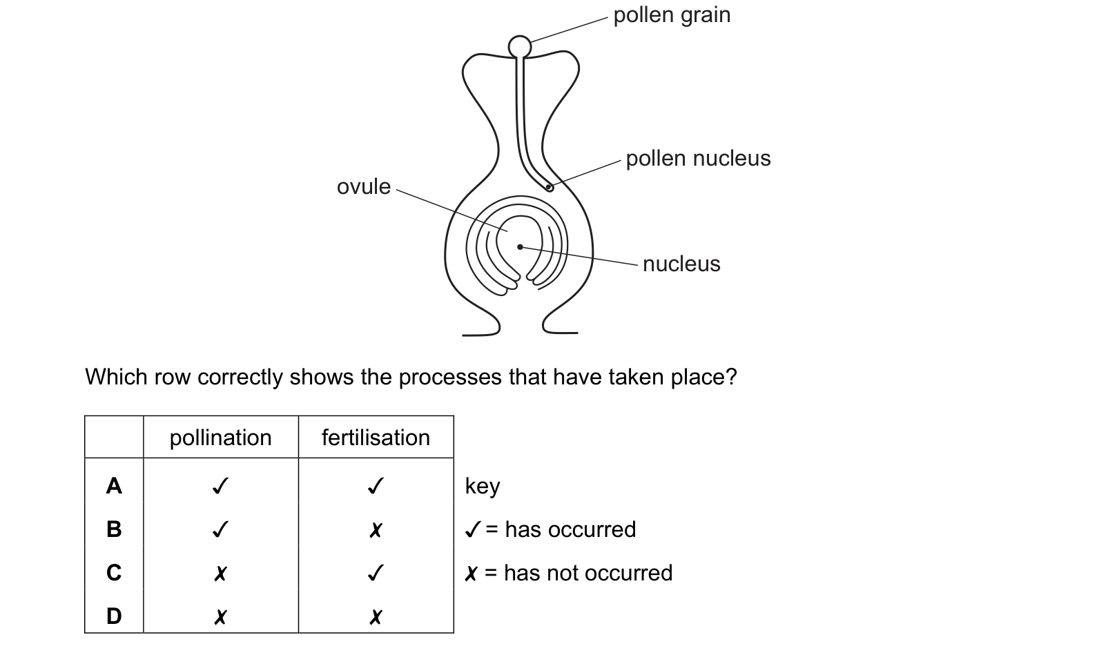 Diagram from the Cambridge Co-ordinated Sciences 0654 Paper 1 October/November 2022 paper, variant 3, question 10.