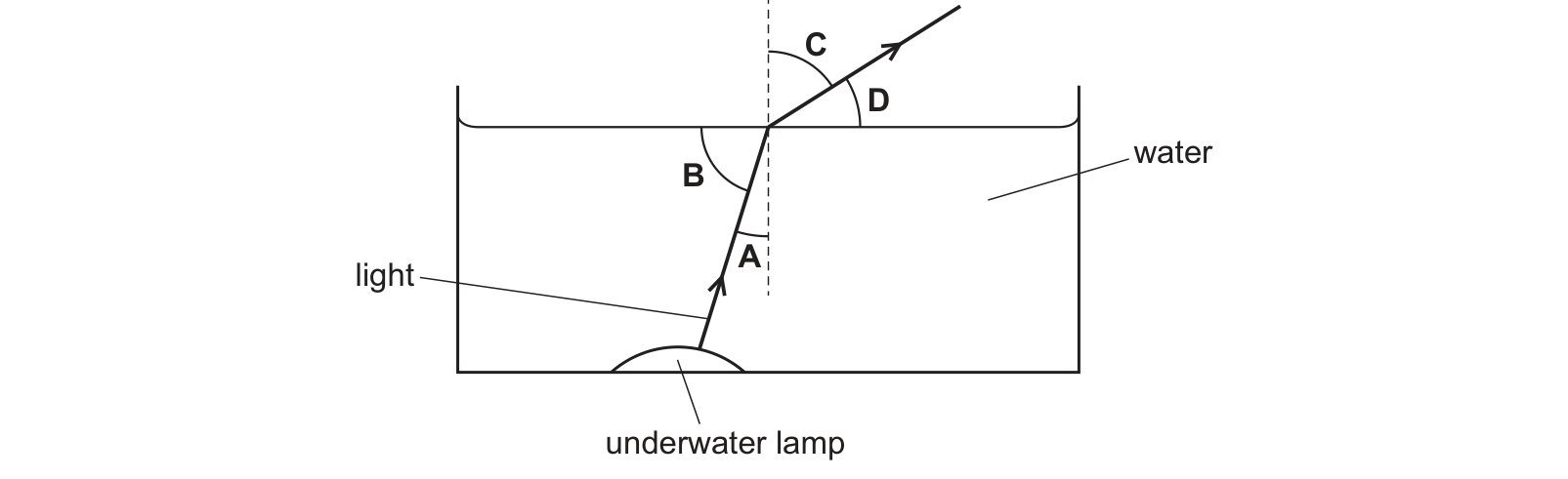 Diagram from the Cambridge Co-ordinated Sciences 0654 Paper 1 October/November 2022 paper, variant 3, question 34.