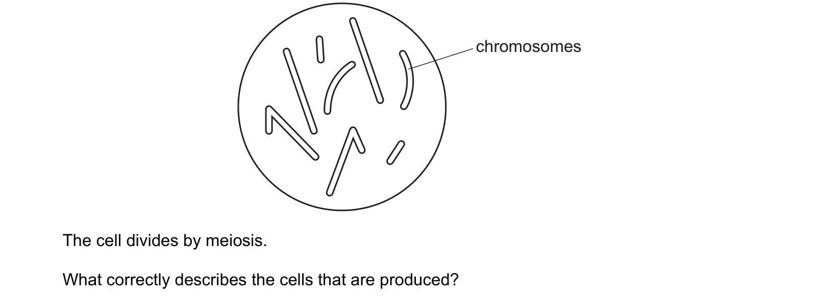 Diagram from the Cambridge Co-ordinated Sciences 0654 Paper 2 October/November 2022 paper, variant 1, question 11.