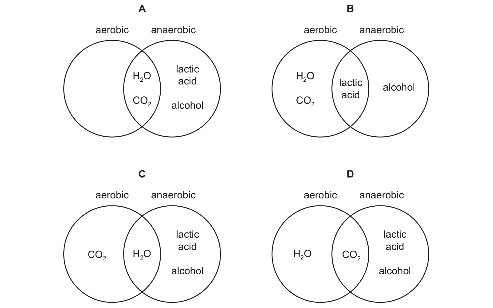 Diagram from the Cambridge Co-ordinated Sciences 0654 Paper 2 October/November 2022 paper, variant 1, question 8.