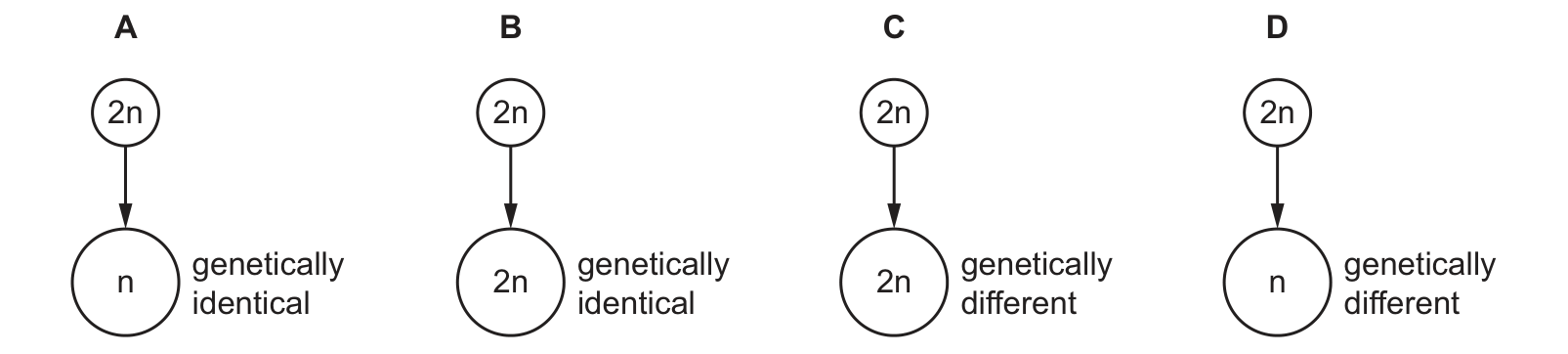 Diagram from the Cambridge Co-ordinated Sciences 0654 Paper 2 October/November 2022 paper, variant 2, question 11.