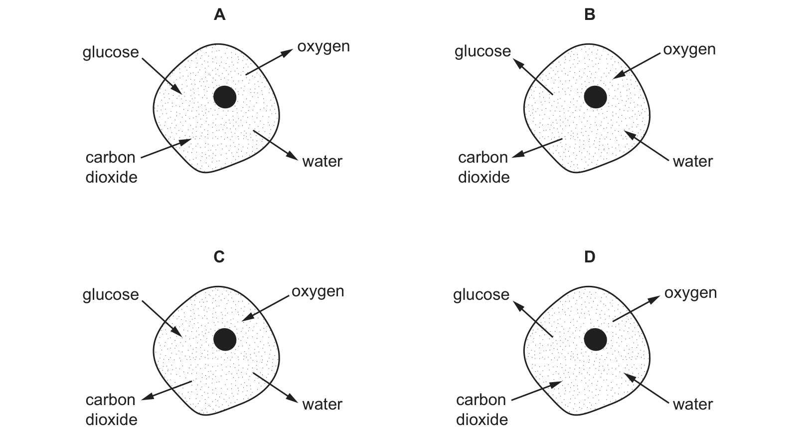 Diagram from the Cambridge Co-ordinated Sciences 0654 Paper 2 October/November 2022 paper, variant 2, question 8.