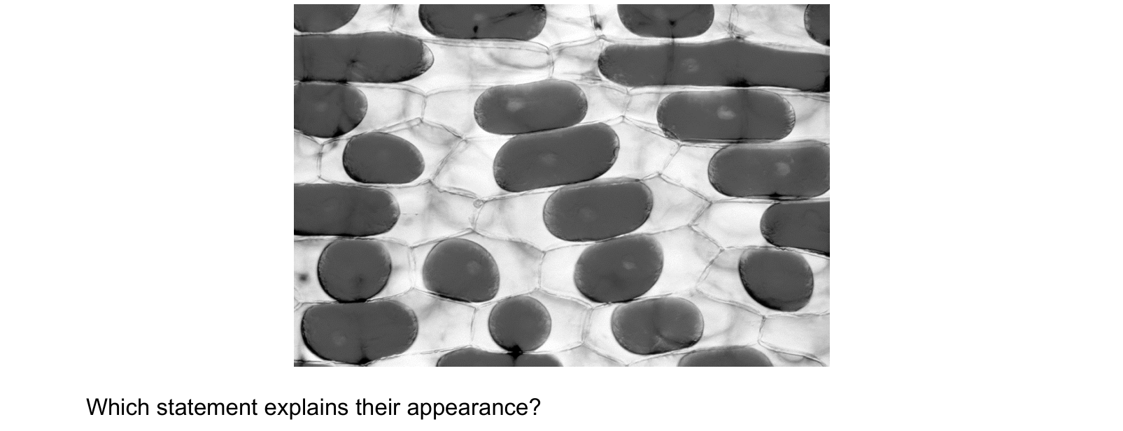 Diagram from the Cambridge Co-ordinated Sciences 0654 Paper 2 October/November 2022 paper, variant 3, question 2.