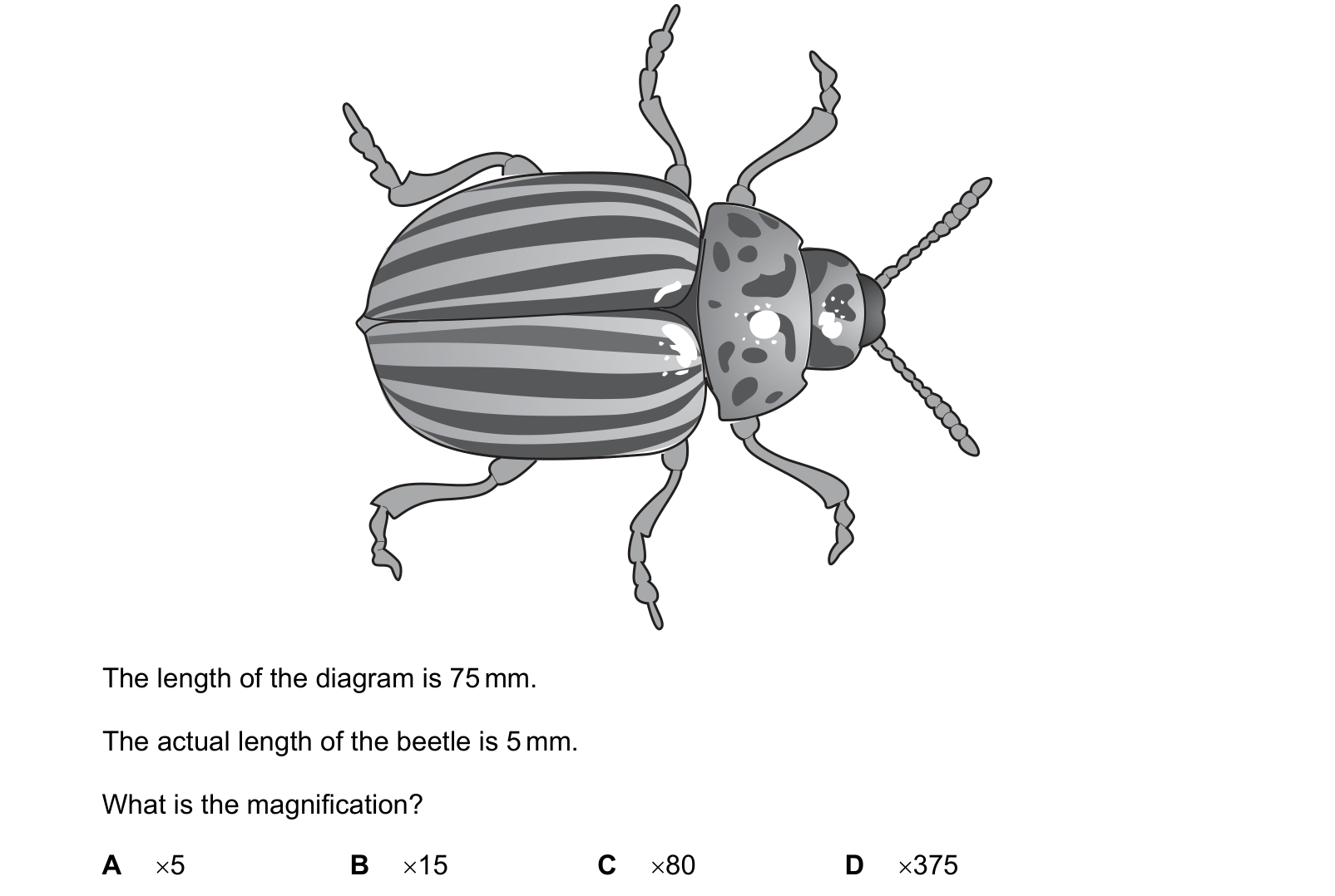 Diagram from the Cambridge Co-ordinated Sciences 0654 Paper 1 October/November 2023 paper, variant 2, question 2.