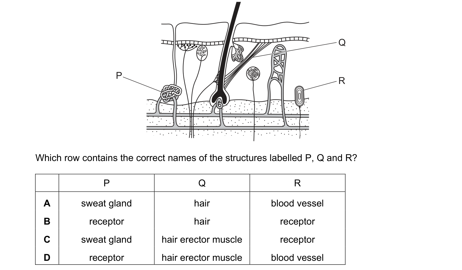 Diagram from the Cambridge Co-ordinated Sciences 0654 Paper 1 October/November 2023 paper, variant 2, question 9.