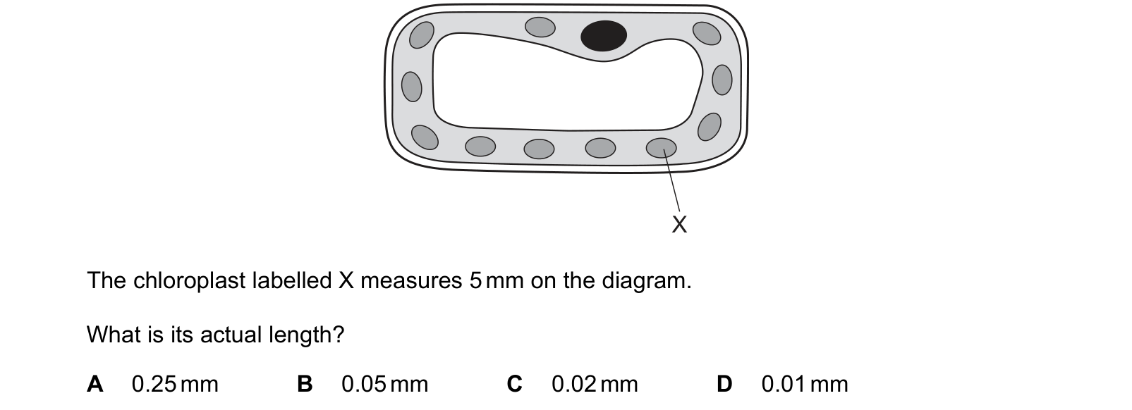 Diagram from the Cambridge Co-ordinated Sciences 0654 Paper 1 October/November 2023 paper, variant 3, question 2.