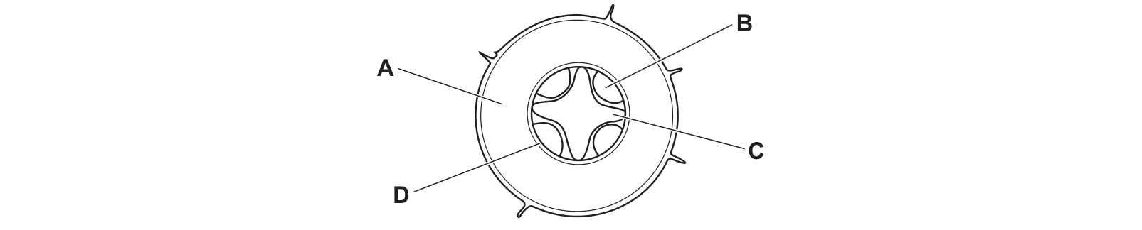 Diagram from the Cambridge Co-ordinated Sciences 0654 Paper 2 October/November 2023 paper, variant 1, question 7.