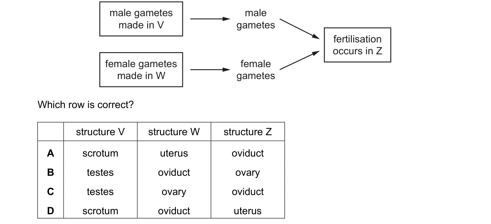 Diagram from the Cambridge Co-ordinated Sciences 0654 Paper 2 October/November 2023 paper, variant 2, question 10.